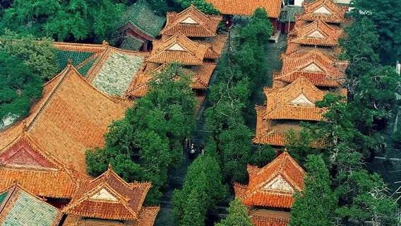 Tour riêng tham quan Khúc Phụ trong ngày từ Tế Nam: Đền Khổng Tử, Dinh thự gia tộc và Nghĩa trang