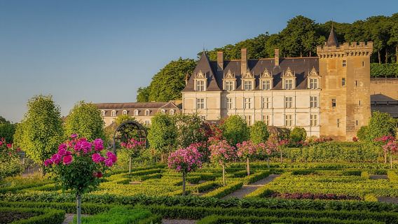 Entrance ticket to Château de Villandry and gardens