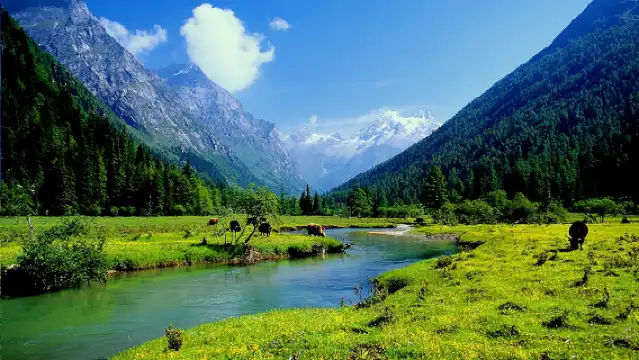 A round-trip one-day tour to Shuangqiao Valley and Siguniang Mountain from Chengdu for sightseeing