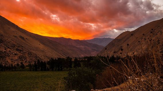 Elqui-Tal-Tour: Geschichte und Kulinarik (NICHT FÜR KREUZFAHRTEN)