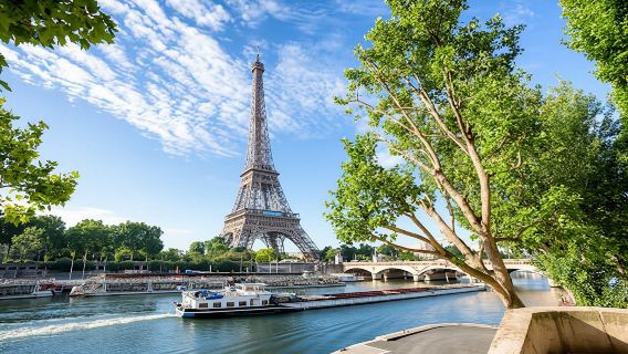 Eiffel Tower direct access ticket and Seine cruise