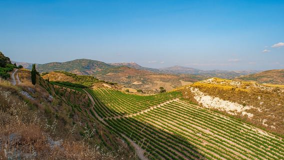 Private heart of Crete tour and wine tasting