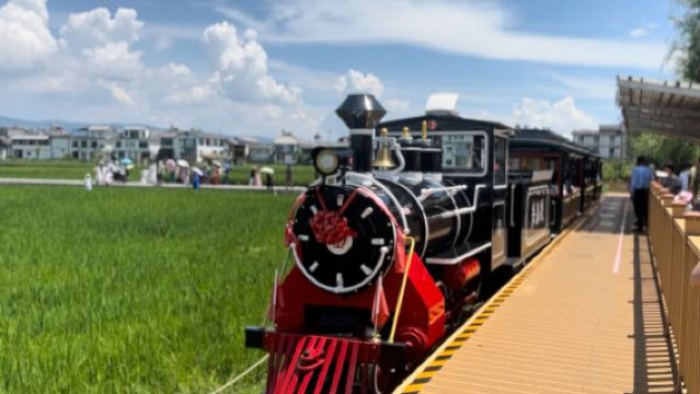 大理生態廊道騎行+喜洲小火車+周城扎染+海東下午茶一日遊