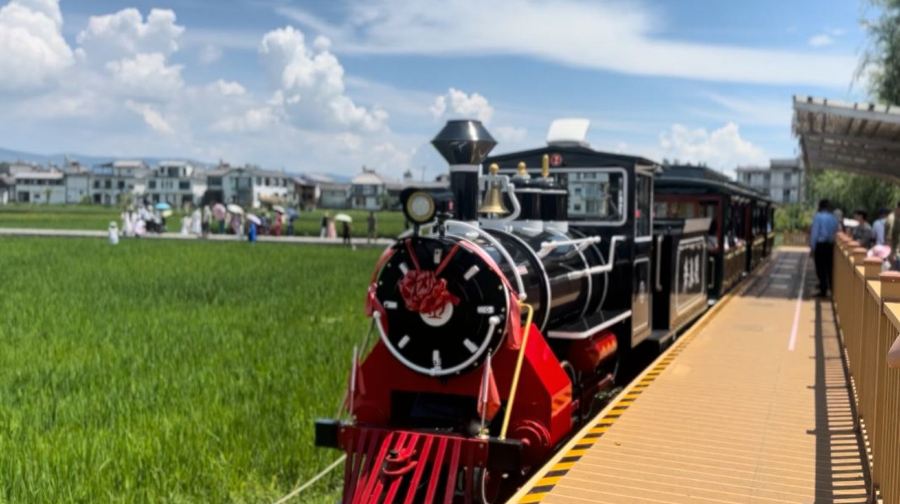 大理洱海大遊船+喜洲古鎮+崇聖寺三塔一日遊