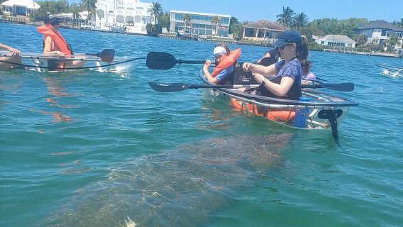Clear Kayak Glass Bottom Day Tour - Anna Maria Island
