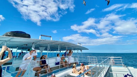 เรือใบแบบคาตามารันพร้อมดำน้ำตื้นสำหรับครอบครัว Flamingo: ที่นั่งที่ร่มรื่นและสบาย