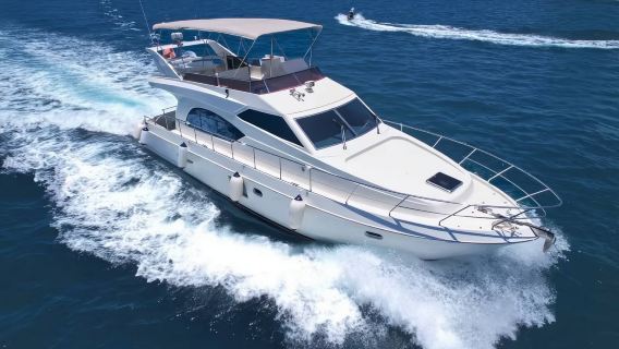 【大連遊艇】大連東港48英尺豪華遊艇包船出海+水果飲品+遊艇自駕體驗+海鷗餵食