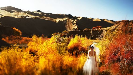 敦煌西線共乘徵人