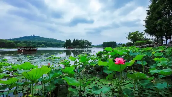 上海出發&贈定制文創冰箱貼】無錫靈山勝境+太湖黿頭渚一日遊