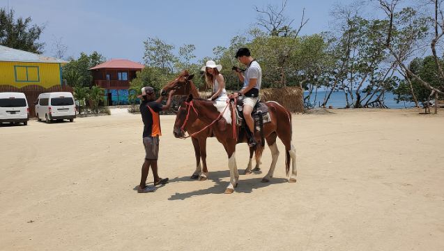 Roatan Excursion: Horseback Ride / Plus Sloth Park and Beach Break
