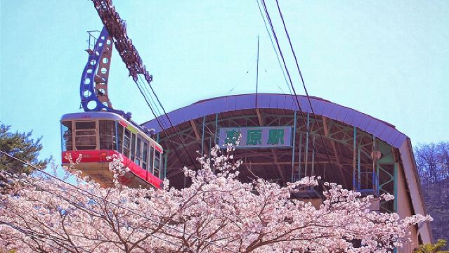 Excursión de un día a Ōita: Dazaifu + Yufuin + Teleférico de Beppu + Jigoku Meguri - Salida desde Fukuoka
