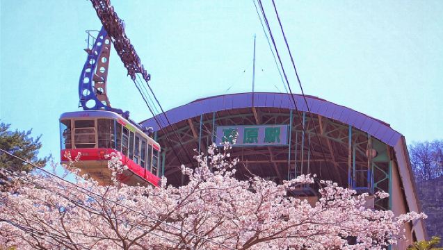 Excursión de un día a Ōita: Dazaifu + Yufuin + Teleférico de Beppu + Jigoku Meguri - Salida desde Fukuoka