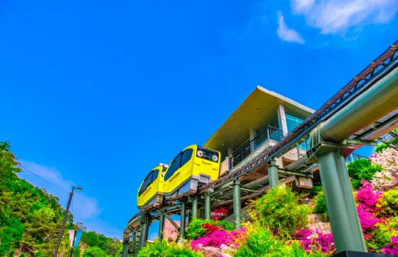 韓國抱川藝術谷+晨靜樹木園+水果農場體驗一日遊(首爾出發)