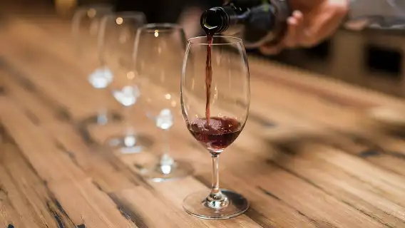 Hunter Valley Wine Tour from Sydney with Lunch and 3 Cellar Door Tastings