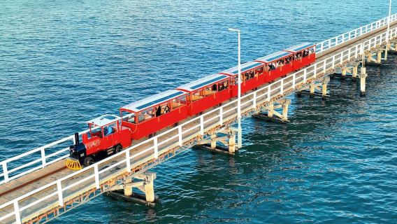 Western Australia: Margaret River day tour