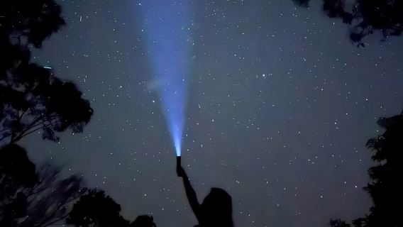 시드니 출발 블루마운틴·야생동물원 일몰 관측·별보기 종일 투어