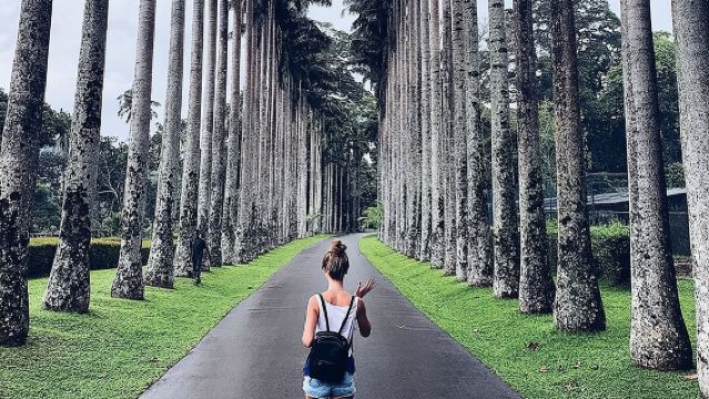 Kandy Day Tour From Colombo