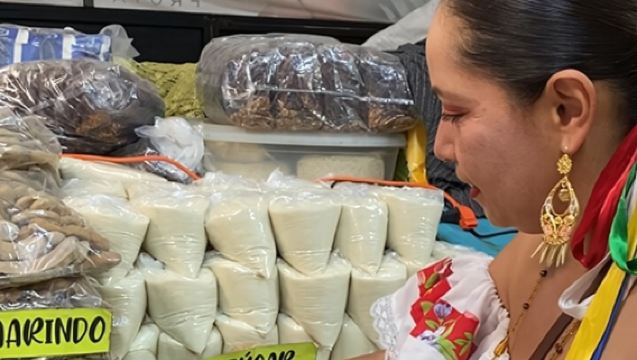 Mexican Cooking Classes and Market Visit in Guadalajara