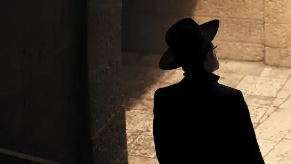 All kinds of translators, Guide , chartered private charter, photographers, business escorts, medical accompaniment, travel guides, customization