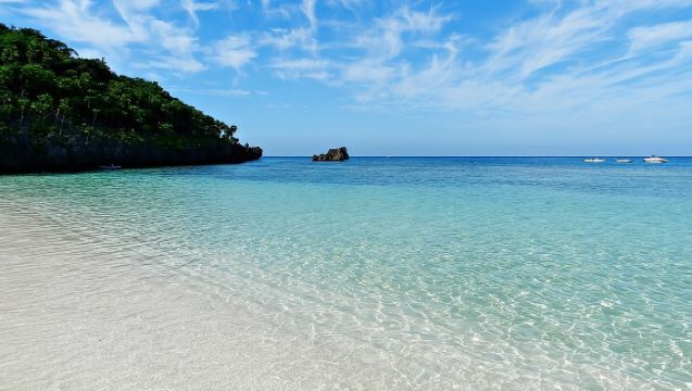 Roatan Private Excursion Monkey & Sloth, City Tour & Beach Break