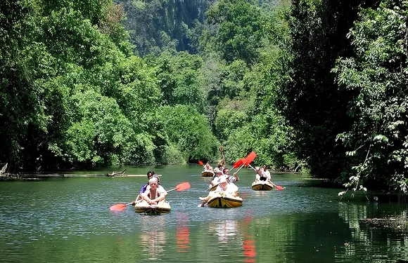 蔻立出發考索叢林探險