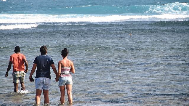 ทัวร์นำเที่ยว Shark Bay และทะเลสาบเกลือบนเกาะ Sal 3 ชั่วโมง