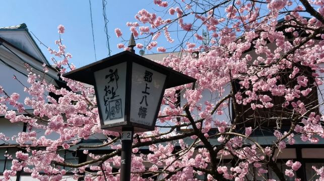 【日本大阪】大阪城+心齋橋+道頓堀+橘子街一日遊