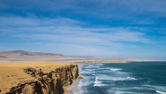 Desde Lima: Tour de día completo a Paracas y el oasis de Huacachina
