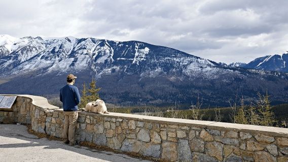 Calgary: gita di un giorno alle sorgenti termali di Radium e al Marble Canyon