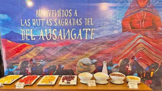 庫斯科：彩虹山和紅谷一日遊（含餐點）