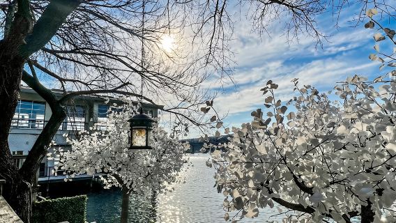 奧斯汀：城市+山區不間斷全景遊
