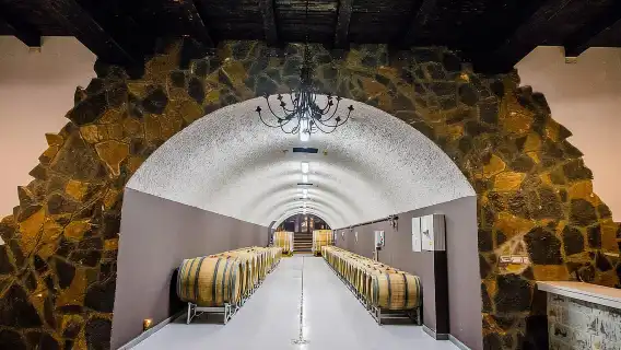 Građani: Winery Tour and Tasting at Winery Lipovac