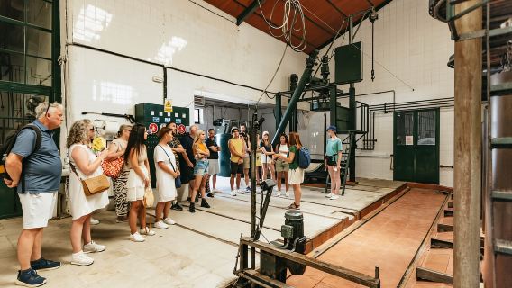 Da Siviglia: escursione di un giorno a Pueblos Blancos e Ronda