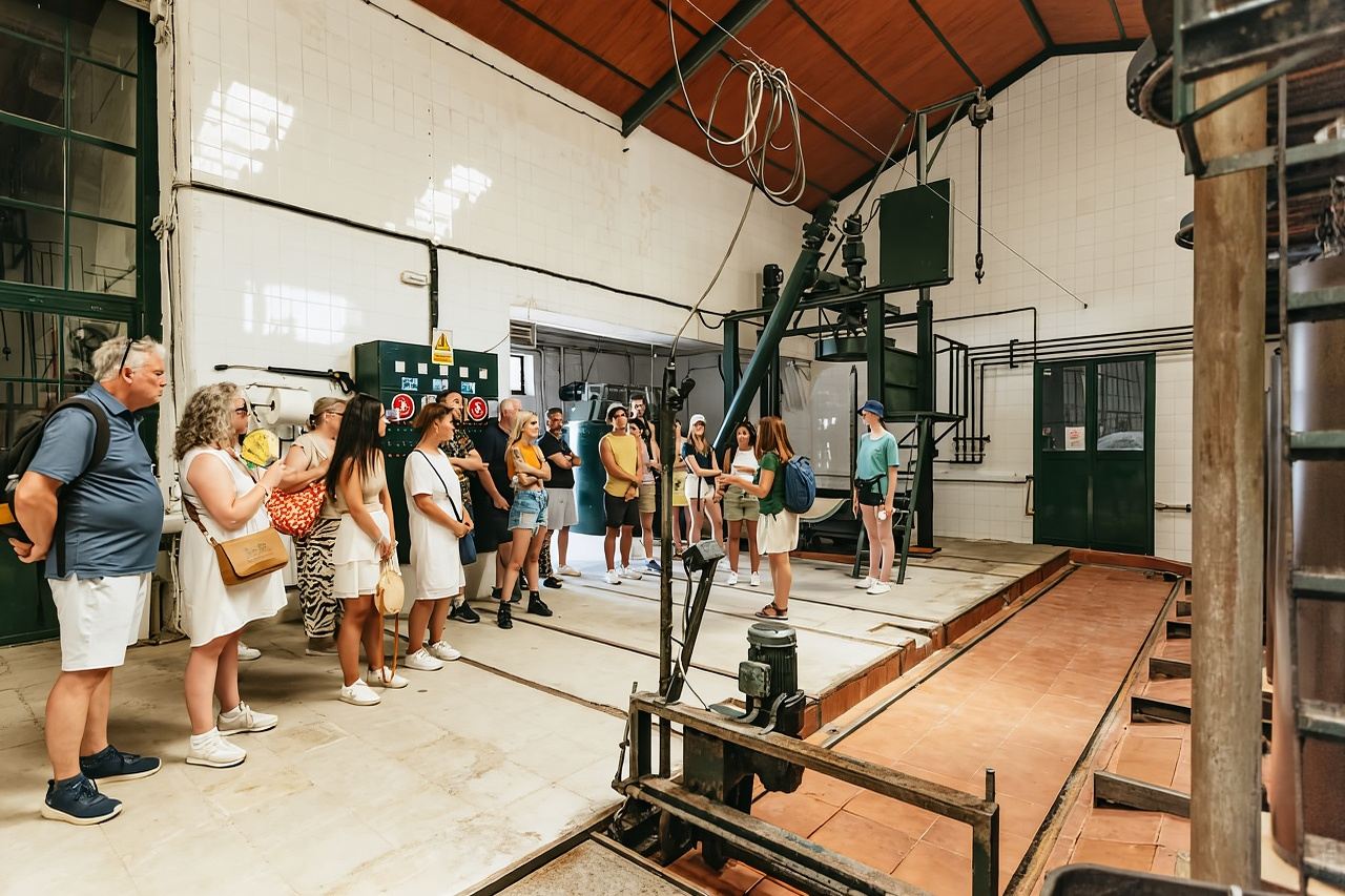 From Seville: Pueblos Blancos and Ronda Full-Day Trip