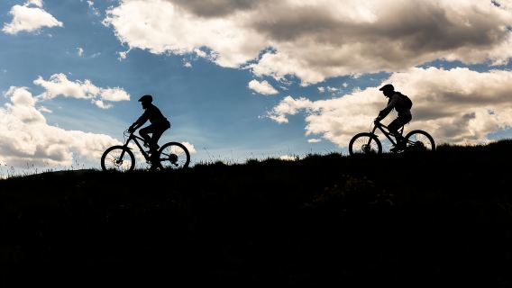 Silverthorne: Mountain Bike Ride Salt Lick Trails