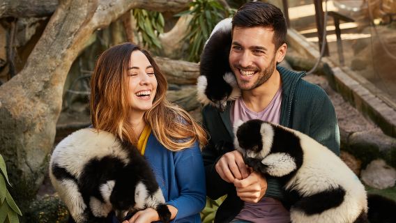 Benidorm: Tiket Masuk Taman Hewan Mundomar