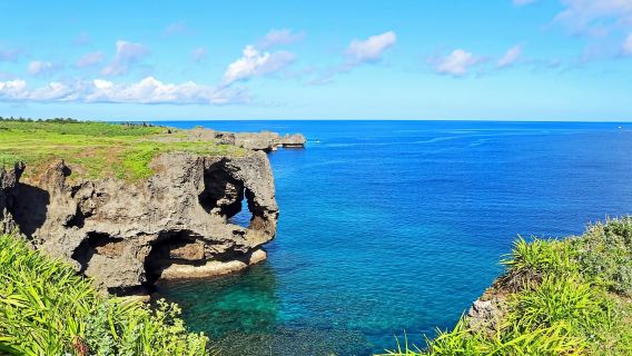 Naha: North Okinawa Sightseeing Tour & Churaumi Aquarium