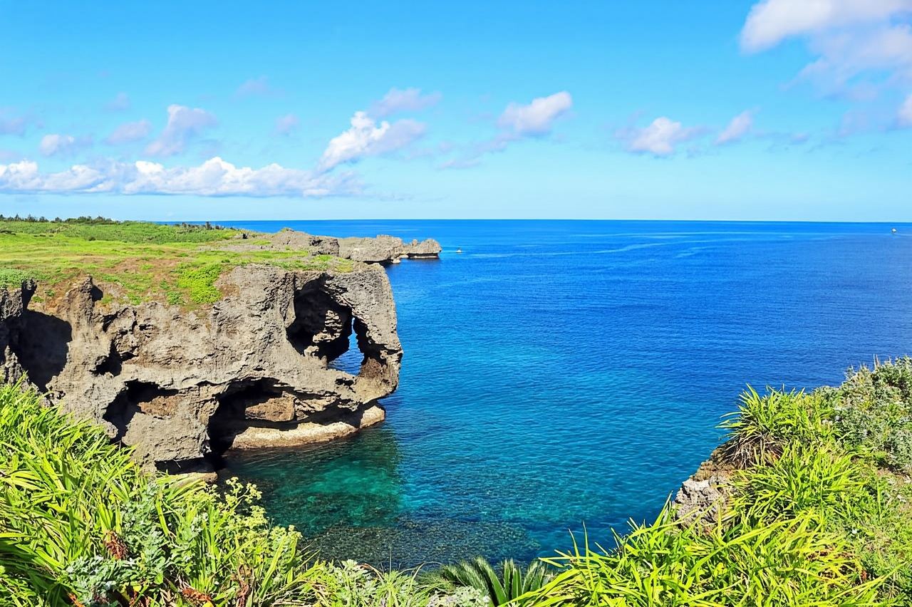 Naha: North Okinawa Sightseeing Tour & Churaumi Aquarium