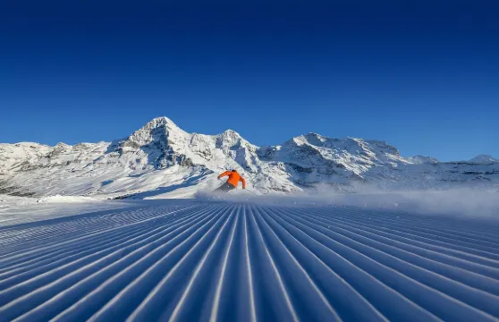 少女峯滑雪通行證成人