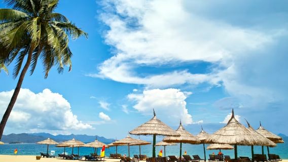 Tour di un giorno a Nha Trang: attrazioni a scelta [gruppo privato + guida in inglese/cinese + trasferimento]