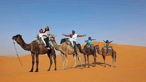 Desert safari With BBQ Dinner Day Tours 3