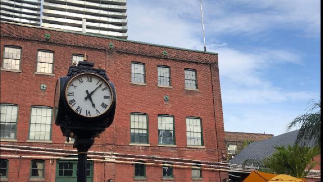 【包車】加拿大多倫多市區經典一日遊 - 景點可調 - 可定制