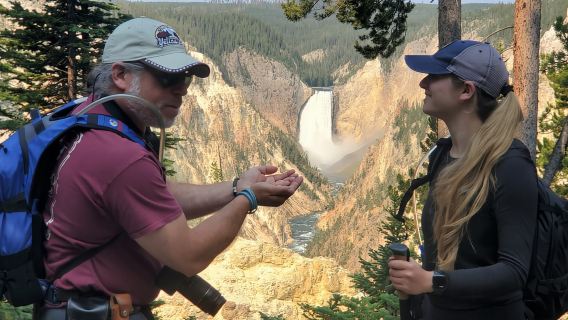 Grand Canyon dello Yellowstone: Escursione ad Anello con Pranzo