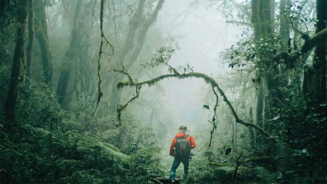 高黎貢山徒步一日遊毛毛球原始森林+3-22km多路線+野溫泉