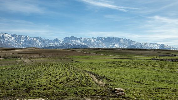 Full-Day Atlas Mountains & Imlil Valley Adventure from Marrakech