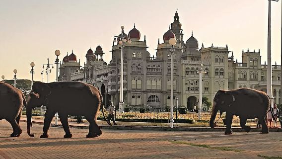 Best of Mysore/Mysuru, Somnathpur & Srirangapatna in a Day