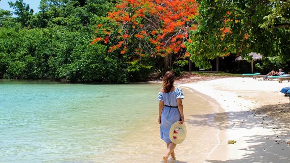 Excursion d'une journée à Negril au départ de Montego Bay (4 en 1)