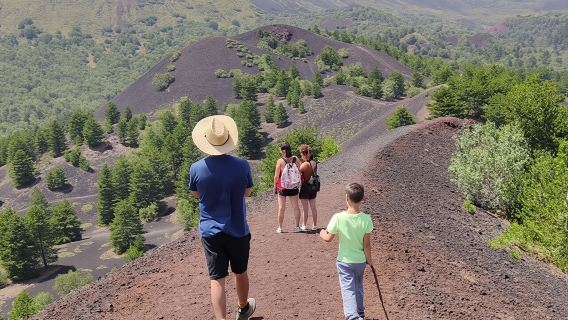 Etna North Private Trekking and Wine Tasting with Light Lunch