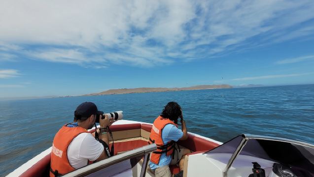 Circuit privatisé vers les îles Ballestas
