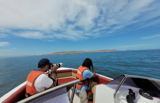 巴拉斯塔斯群島私家團